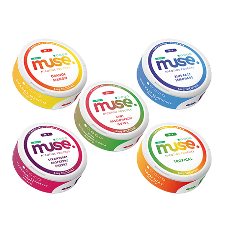 6mg Muse Nicotine Pouches - 20 Pouches - PRONTO VAPES
