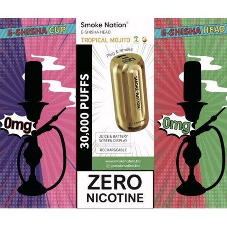 Smoke Nation E-Shisha Hookah Head | Tropical Mojito | 30,000 Puffs | 0% Nicotine - VAPOURS CLUB